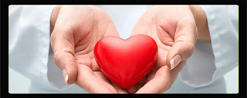 21ª edição da Doe de Coração será lançada dia 5 de setembro