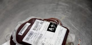 Hemocentro de Brasília lança Semana Nacional do Doador de Sangue nesta segunda (24) sangue