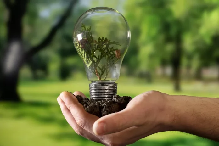 empreendedorismo sustentavel