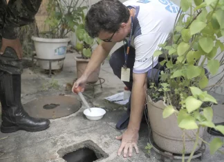 Ministério lança edital para formar agentes populares de saúde Dengue