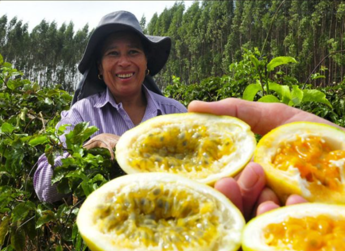 maracujá