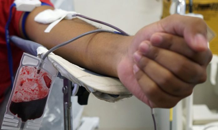 triagem de sangue em hemocentros tera teste de malaria 1