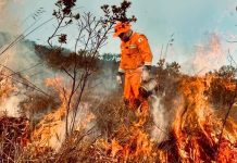 Governo de Minas lança Plano Estadual de Enfrentamento aos Incêndios Florestais e reforça preparação frente às mudanças climáticas fogo