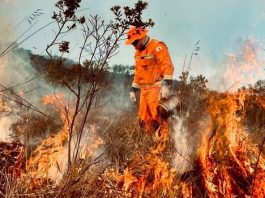 Prevfogo é autorizado a contratar brigadas federais para atuar na prevenção e combate aos incêndios florestais fogo