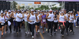 Em comemoração ao Mês da Mulher, GDF terá atividades especiais para o público feminino mulheres